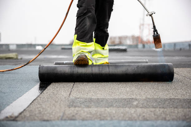 Best Gutter Installation and Repair  in La Palma, CA